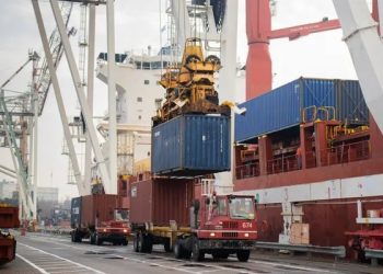 CAME: cuáles son las razones por las cuales las exportaciones de las economías regionales cayeron 17,4% en toneladas y 14,2% en dólares