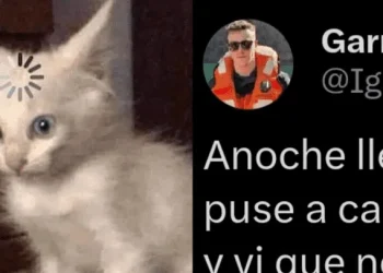 Estaba ebrio y puso a cargar su celular en un insólito lugar:¿Dónde?