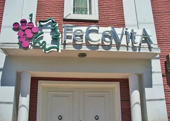 Fecovita: imputaron a directivos por presentar balances falsos