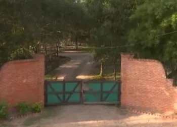 Hallan posibles restos óseos en el campo de Emerenciano Sena