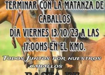 Manifestarán contra la matanza de caballos