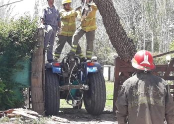 Árboles caídos, voladura de techos y cortes de luz, las consecuencias del fuerte viento
