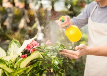 Se realizará una charla para hacer preparados en el “cuidado de huertas y plantas”
