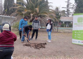 Hoy realizarán un trabajo de forestación comunitario en barrio El Sosneado