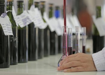 Taller sobre análisis microbiológicos en la Industria del Vino 2023
