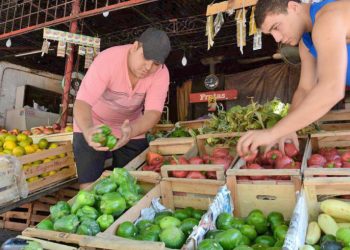 El sector frutihortícola en crisis: bajas ventas y problemas en la cadena de pagos