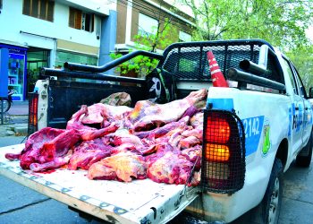 Cuatrerismo de caballos y vacas: “De enero a la fecha ha habido 53 faenas”