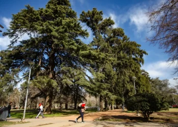 Pronóstico en Mendoza: domingo a puro sol y con altas temperaturas