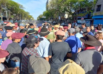 Vecinos se manifestaron por el robo de caballos para vender la carne