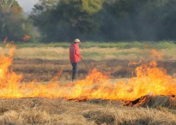 Se autorizó la quema prescripta por el Plan de Manejo del Fuego para prevenir incendios forestales