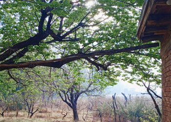 ¿Contaminación Ambiental en Calle Larga Vieja?