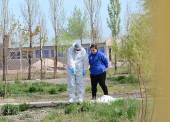 Brutal femicidio en Neuquén: un hombre fue a la casa de su expareja, la vio con otro hombre y la asesinó