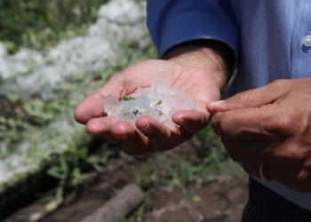 Mendoza pone a disposición créditos para productores afectados por granizo