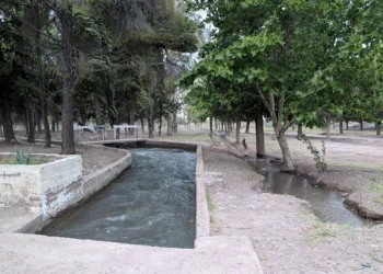 Tragedia en la provincia de Mendoza: una pareja murió ahogada delante de su hijo al intentar rescatar un perro