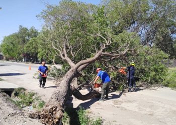 Movido fin de semana: Defensa Civil recibió casi 300 reclamos de afectaciones por el Zonda