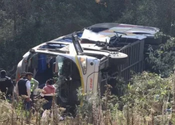 Un micro cayó por un barranco en México: 12 muertos y 58 heridos