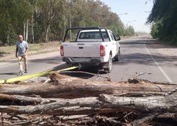 Todas las áreas del municipio en acción por el viento Zonda