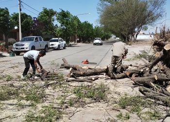 El Área de Desarrollo Social del Municipio ayudó a las familias más afectadas por el Zonda