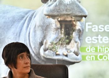 Colombia matará a hipopótamos de Pablo Escobar que se convirtieron en plaga