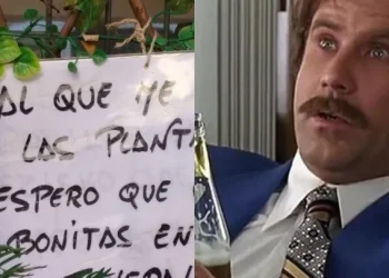 Viral: El furioso mensaje de un vecino a los “ladrones” que le roban las plantas