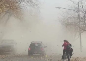San Rafael: medidas preventivas ante el viento zonda