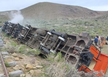 Un turista inglés resultó herido en el descarrilamiento de La Trochita