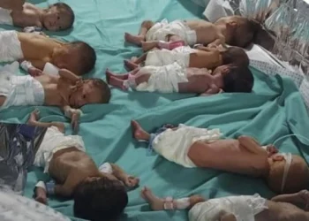 Los palestinos piden la evacuación de cientos de pacientes y recién nacidos del hospital más grande de Gaza