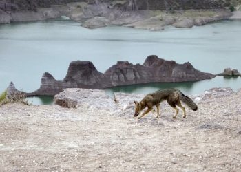 Falta de compromiso del Estado, prestadores y visitantes pone en riesgo el potencial turístico de San Rafael