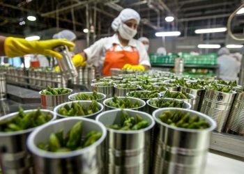 Incrementaron el 31% el tipo de cambio para las exportaciones: cómo impactó la medida
