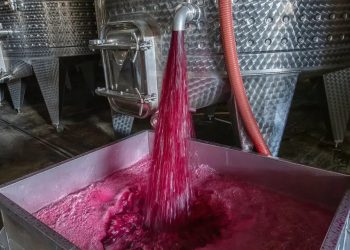 El vino a granel argentino obtuvo importantes premiaciones: 5 medallas de oro y 4 de plata