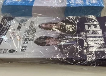 Servini de Cubría: «Retuvimos a un menor de 16 años que se estaba robando las boletas de Milei»