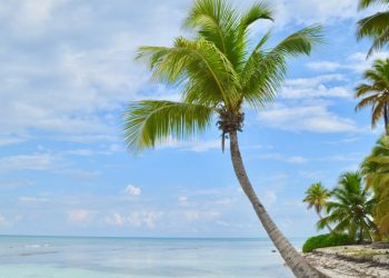 Vivir frente al mar: una isla paradisíaca ofrece 184.000 euros al año por vivir allí
