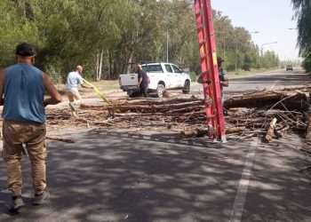 Mendoza ha tenido 12 eventos de viento zonda en 2023, el número más alto en los últimos 20 años