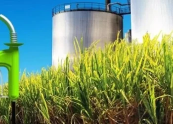 El Gobierno autorizó una suba de hasta un 35% en el precio del bioetanol y un 20% el de biodiesel