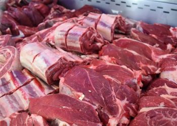 ¿Se viene otro aumento de la carne?: la crecida del Paraná afecta a más de 5 millones de cabezas de ganado