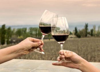 El Messi del vino mendocino salió segundo entre los 100 mejores del mundo: “Hacer vino es poner paisaje en botella”