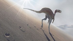 A partir de huellas, identificaron una nueva especie de dinosaurio