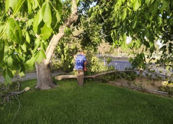 Zonda en San Rafael: El municipio normaliza la limpieza y los servicios y releva daños en viviendas