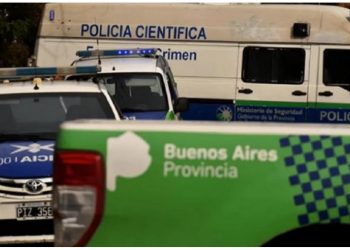 Conmoción en Mar del Plata: un joven de 16 años mató a su tía tras una pelea por un terreno
