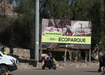 La lenta reconversión del Ecoparque: entre el reto de abrir en 2024 y el futuro de elefantes y tigresas