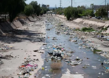 Proponen multas de hasta $635.000 para quienes arrojen basura en Mendoza