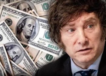 El Gobierno tomó una drástica medida con el cepo al dólar a días de la asunción de Javier Milei