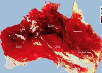 Aumenta el riesgo de incendios forestales en Australia por una extensa ola de calor