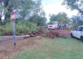 Las Paredes fue el destino más afectado por la tormenta: destrozos, caída de árboles y viviendas afectadas