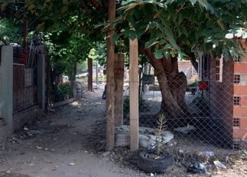 Conmoción en Rosario: Hallaron el cuerpo de una mujer de 71 años en un pozo ciego