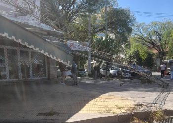 Un auto subió a la vereda y tiró un tinglado: por milagro no hubo heridos