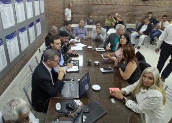 Janina Ortiz, cerca de perder sus fueros como diputada