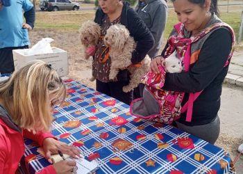 El quirófano veterinario móvil desembarcó en el paraje Pobre Diablo, Rama Caída