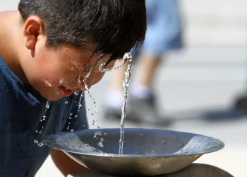 Predecirán las temperaturas hasta el 2080 en la Ciudad de Mendoza