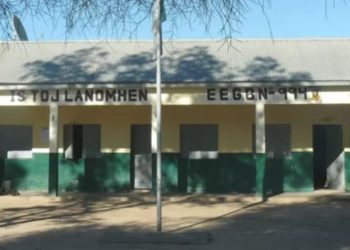 Otra tragedia en el país: Una nena de 11 años murió tras caerse de un árbol en una escuela 
